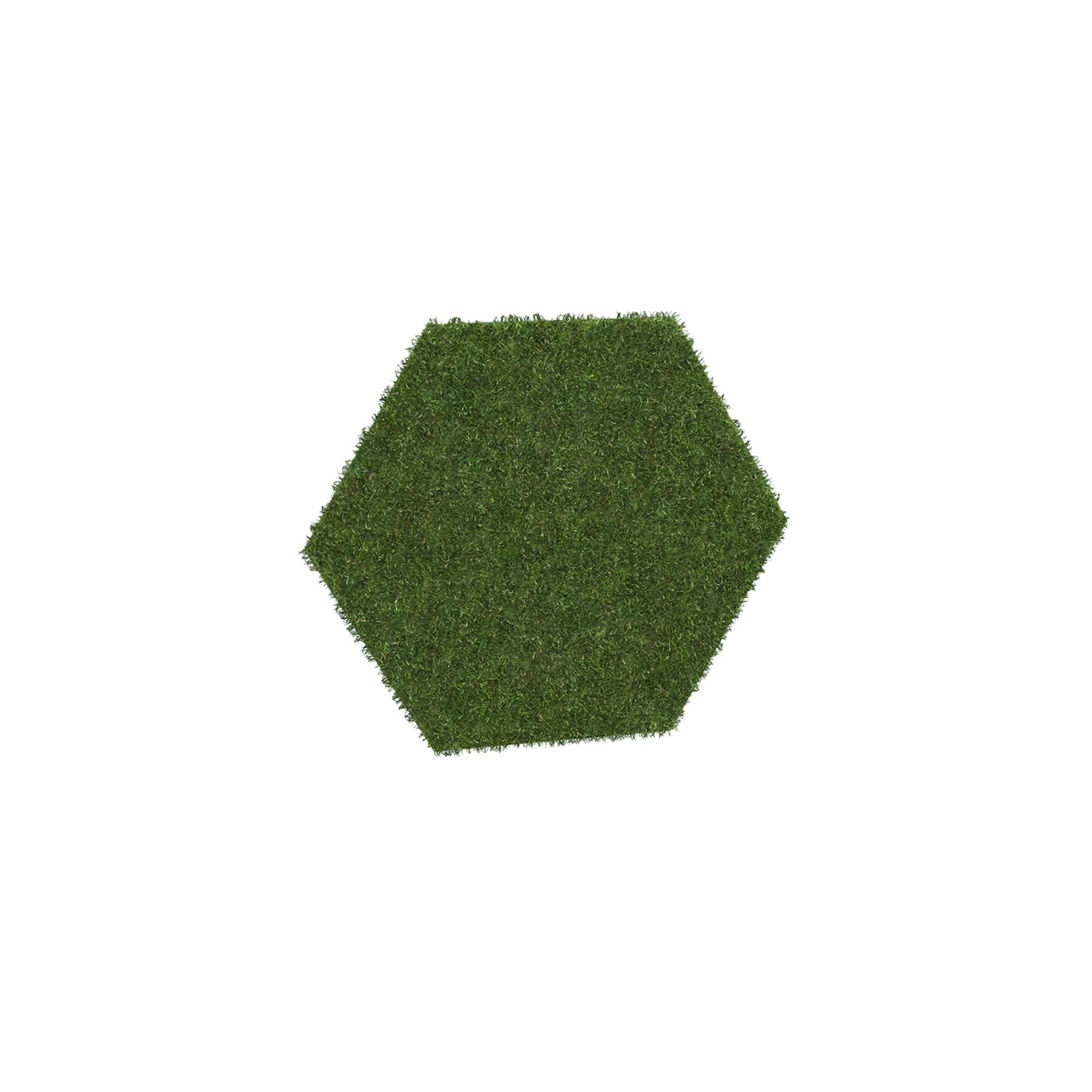 0_5080240342_1