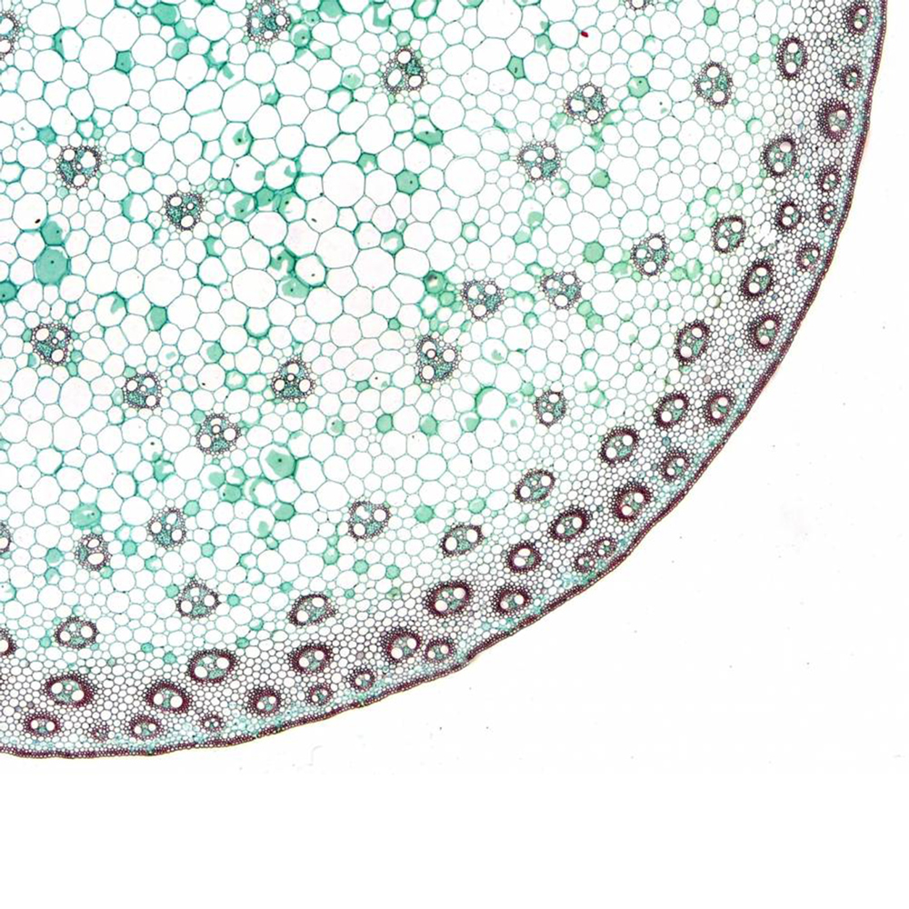 0_8112160008_2